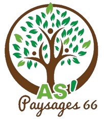 Monsieur Anthony Simon